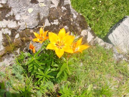 La Vanoise Hotel เปเซย์-น็องครัวซ์ ภายนอก รูปภาพ
